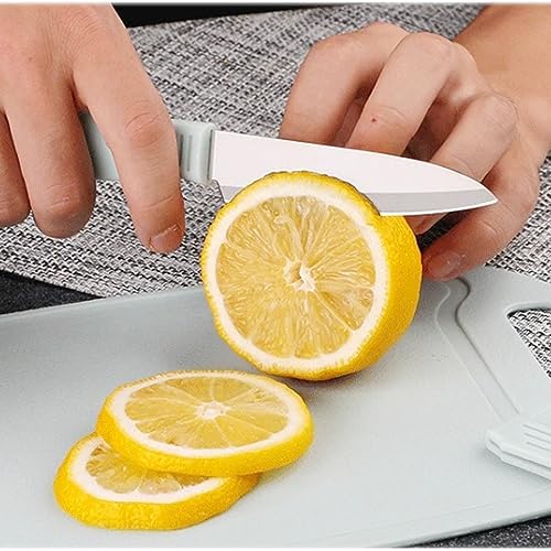 Portable Mini Travel Cutting Board Set for Camping & Outdoor (Blue)