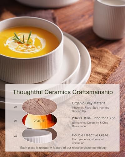 Famiware Star Plates and Bowls Sets, 18pc Modern Stoneware Dinnerware for 6