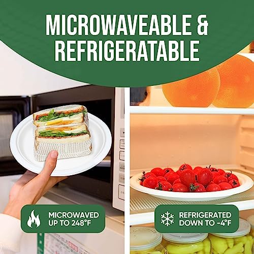 TaidMiao 9 inch Paper Plate Heavy Duty Disposable,100% Compostable,100 Pack