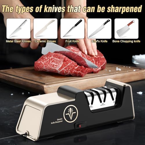 VIDOME Professional Electric Knife Sharpener, Champagne Gold