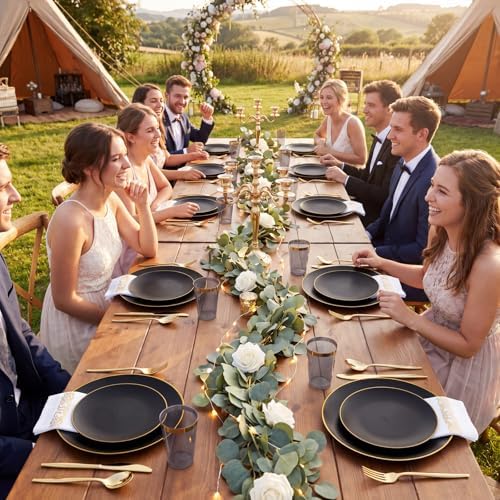 EjonirInjonir 350pcs Premium Black Plastic Plates For Party Heavy Duty
