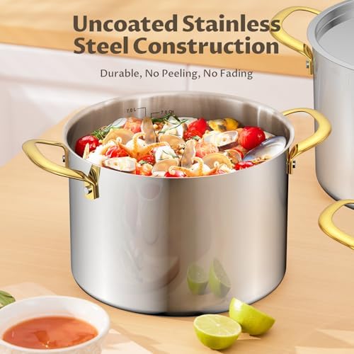 BEZIA 8 QT Stainless Steel Stock Pot with Lid, Uncoated Cooking Pot