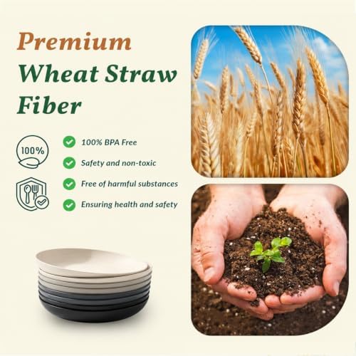 Homienly Wheat Straw Plates Set of 8, Reusable Lightweight and Unbreakable 9 inch Plates, Premium Microwave and Dishwasher Safe Plates for Kitchen, Camping, Picnic, Party - GreyStone