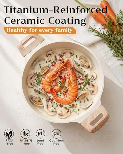 FDN Titanium Ceramic Cooking Pot with Lid, Pfos & Pfoa Free Nonstick Stock Pot, Large Soup Pot, Big Pots for Cooking, Multipurpose Cookware, Ollas Antiadherentes Para Cocinar, Cacerolas, Grey