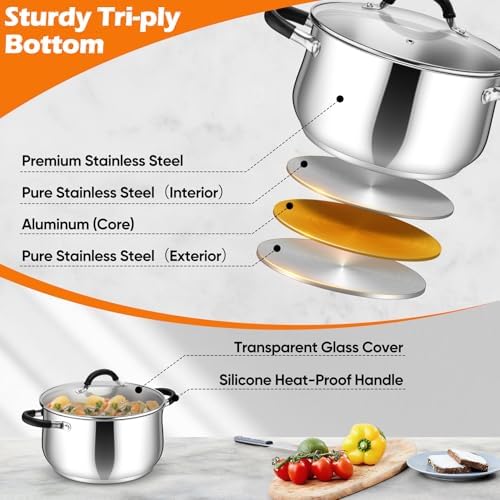 P&P CHEF 6 Quart Stainless Steel Stock Pot, Cooking Pot with Visible Lid