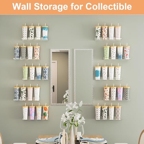 upsimples 10 Pcs 15" Acrylic Shelves for Wall Display and Storage, Clear