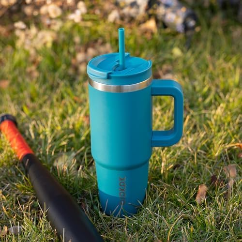 BJPKPK 30 oz Insulated Tumbler with Handle & Straw, Stainless Steel