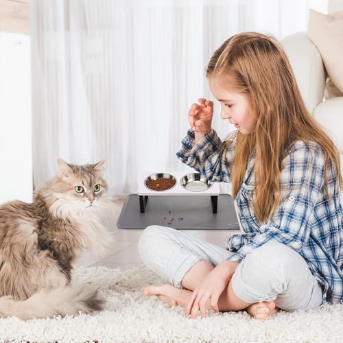 Summark Upgraded Elevated Cat Bowls with Food Mat,15°Tilted Stand Anti Vomiting Raised Cat Dishes for Food and Water,2 Stainless Steel Bowls for Cats and Puppy（White）