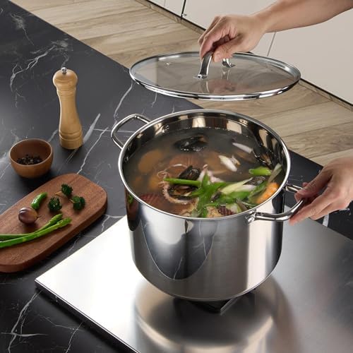 LIANYU Stainless Steel Large Stock Pot, 16 QT Heavy Stockpot with Glass Lid