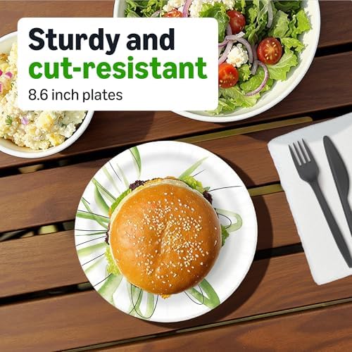 Amazon Basics Everyday Paper Plates, 8.62 Inch, Disposable, 300 Count, Packaging May Vary