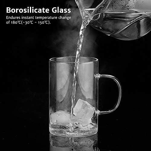 ecooe 16.9oz Glass Tea Cup with Infuser and Lid 430ml(Use Capacity), Clear