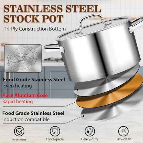 Rorence Stainless Steel Stock Pot, 6-Quart