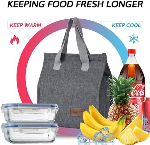 TELLUMO Insulated Lunch Bag for Men Women, Large Reusable Leakproof Lunch Box Container, Small Portable Thermal Snack Bag, Reusable Travel Office Work Beach Cooler Tote Bag for Adults, Grey