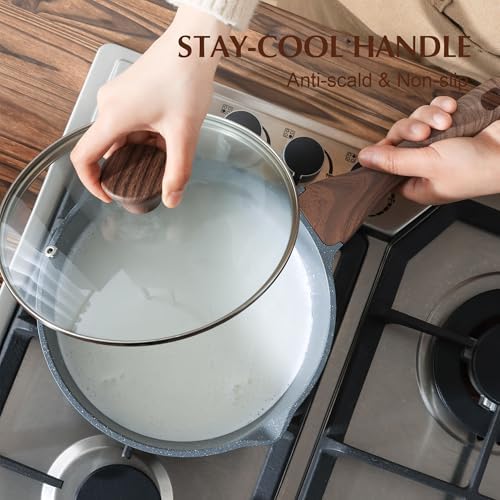 SENSARTE 3 Quarts Nonstick Saucepan with Double Pouring Spout