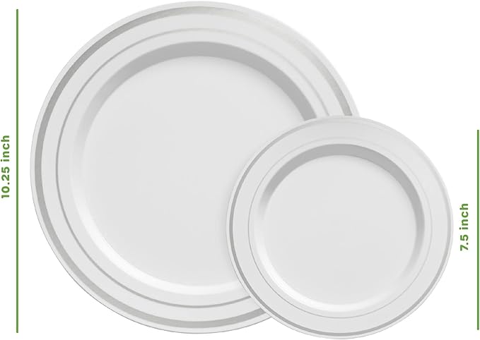 SETUP [60 Piece Combo Silver Trim Plastic Plates - Premium Heavy-Duty 30 Disposable 10.25" Dinner Party Plates and 30 Disposable 7.5" Salad Plates