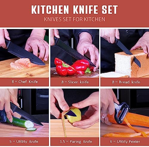 RAXCO Knife Set,10-Piece Stainless Steel Kitchen Knife Set with Block,Black