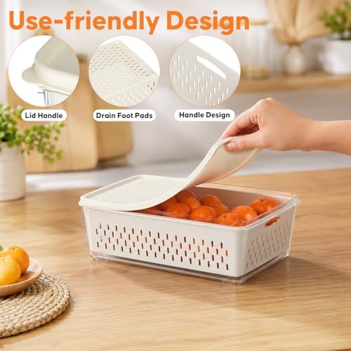 4 Pack Fruit Storage Containers for Fridge, Plastic Food Storage Container