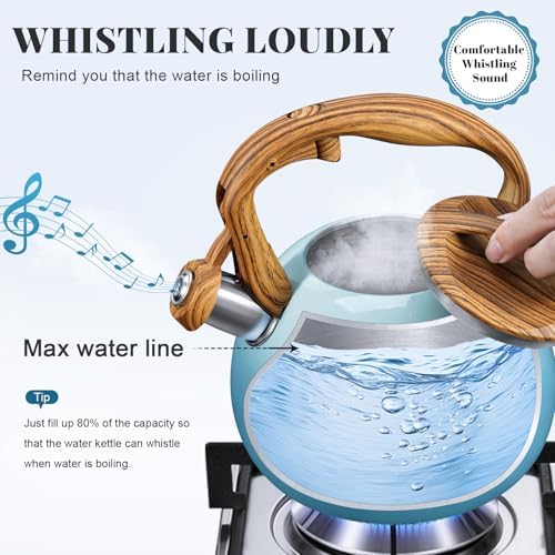 GGC Whistling Tea Kettle for Stove Top, 3.2QT/3L Stainless Steel Tea Kettle