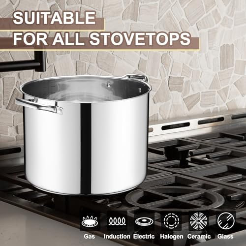 E-far 20 Qt Large Stock Canning Pot, Stainless Steel Stockpot with Lid