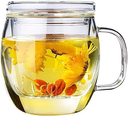 Glass Tea Cup with Infuser and Lid, 17 oz Clear Loose Leaf Tea Infuser Mug