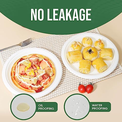 TaidMiao 9 inch Paper Plate Heavy Duty Disposable,100% Compostable,100 Pack