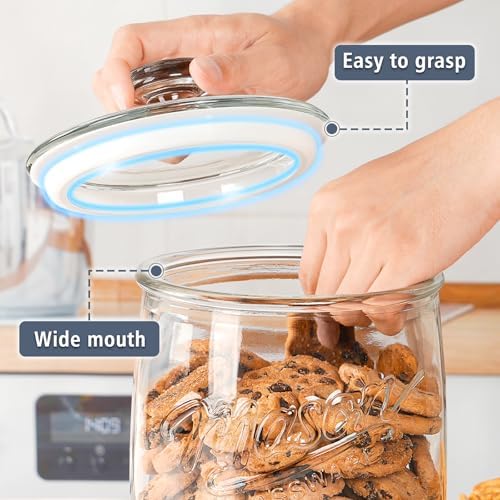 Folinstall 1 Gallon Glass Cookie Jar with Airtight Lid, Wide Mouth Canister