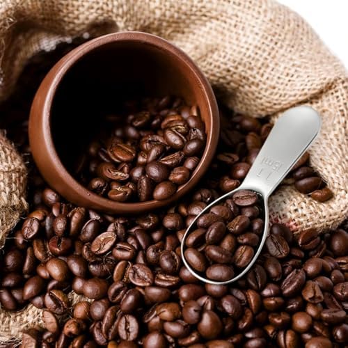 2 Pack 15ml (1 Tablespoon) 304 Stainless Steel Coffee Scoop, Short Handle Measuring Spoon for Ground Coffee/Beans, Fits in Canisters