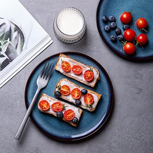LERATIO Ceramic Plate Set of 6,8.5 Inch Reactive Glaze Salad Plates