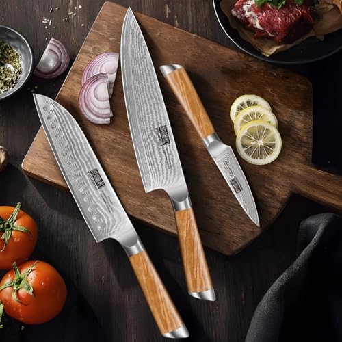 HOSHANHO Damascus Kitchen Knife Set 3PCS, Sharp Chef/Santoku/Fruit Knives