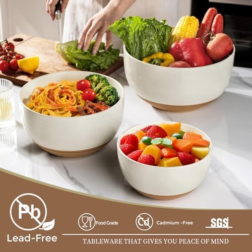 AmorArc Ceramic Mixing Bowls,Stoneware Nesting Bowls Set of 3 for Kitchen