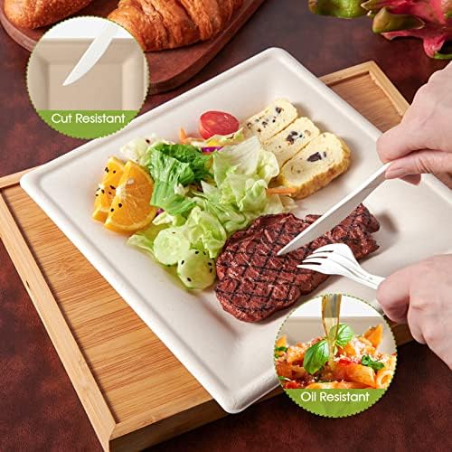 ECOLipak 100 Piecs Compostable Square Paper Plates, 10 inch, Nature