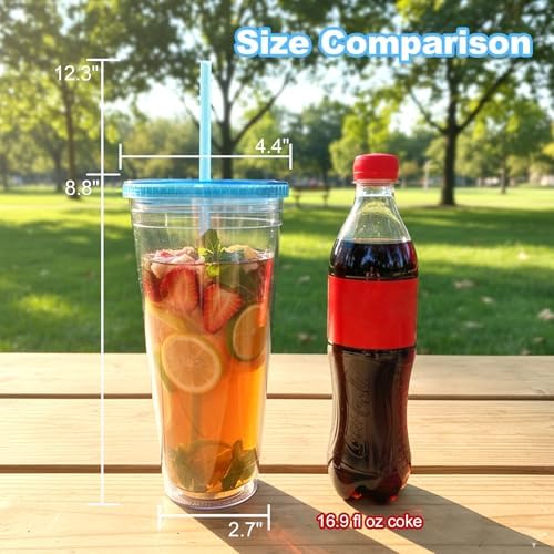 Zukro Clear Double Wall Plastic Tumbler with Lid and Straw 32 oz, 4 Pack