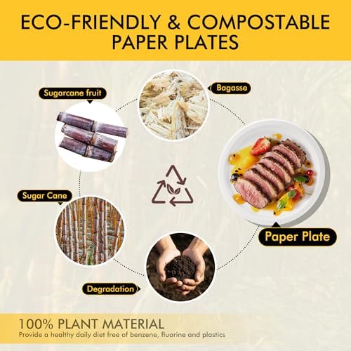 RACETOP Compostable 10 Inch [125 Pack] Paper Plates