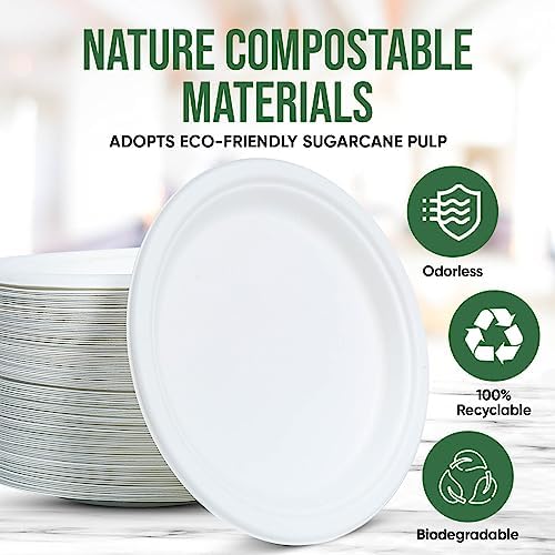 TaidMiao 9 inch Paper Plate Heavy Duty Disposable,100% Compostable,100 Pack