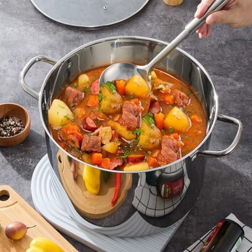 LIANYU 20 QT Stainless Steel Large Stock Pot, Heavy Stockpot with Glass Lid