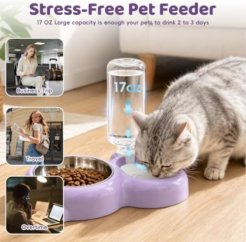 2-in-1 Dog Cat Bowl, Cat Food and Water Bowl Set, Purple