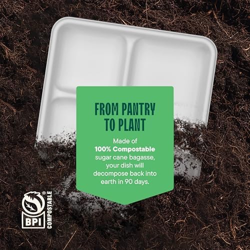 [Case - 500-Pack] 100% Compostable Paper Plates with 5 Compartments Disposable - School Lunch Tray Natural White - Heavy Duty Quality Disposable Tray - 100% Biodegradable Made of Sugar Cane [8" x 10"]