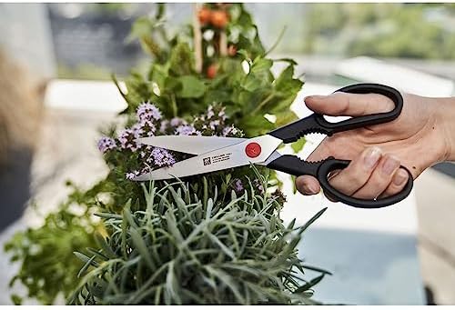 ZWILLING Twin L Multi-Purpose Scissors, 23 cm, Stainless Steel