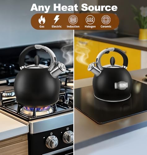 Stainless Steel Tea Kettle, Tea Kettles Stovetop, Vintage Whistling Teapot for Stove, Durable and Rust-Resistant, with a Pot Holder Included, Whistling Tea Kettle 2.64 Quart (Black)