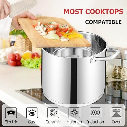 LIANYU 10 Quart Pot with Lid, 10 QT Tri-ply Stainless Steel Stockpot