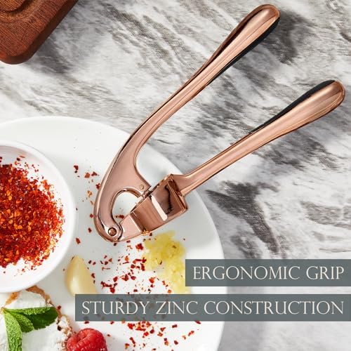 Premium Garlic Press, Professional Garlic Mincer, Easy to Squeeze and Clean, Rust Proof, Efficient Ginger Crusher - Antique Copper