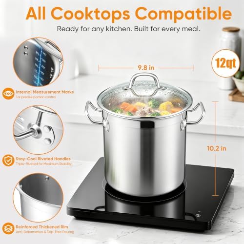 E-far 12 Quart Tri-Ply Stock Pot with Lid, Stainless Steel Cooking Pot