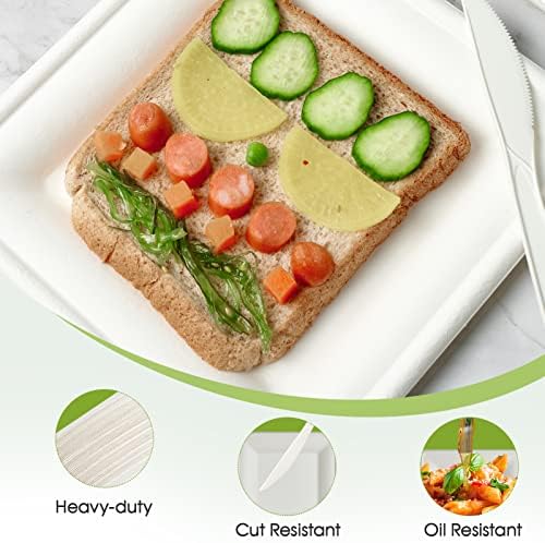 ECOLipak 150 Piecs Compostable Square Paper Plates, 6 inch, White