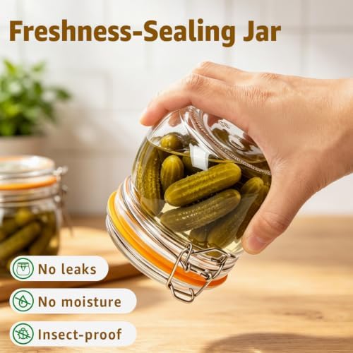 Small Glass Storage Jars with Airtight Lids Wide Mouth 17 oz 6 Pack