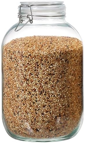 1 Gallon Glass Food Storage Jars with Airtight Lids, Set of 1 – Clear Preserving Seal Wire Clip Fastening Canisters for Kitchen Canning, Flour, Cereal, Pasta, Sugar, Beans, Pickling Jars (1gallon*1)