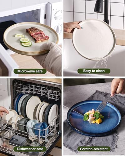 Famiware Star 8-Piece Plates and Bowls, Stoneware Dinnerware Dish Set for 4