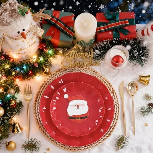 LIYH Red Christmas Plastic Plates Reusable Unbreakable, Dishwasher 25Guests