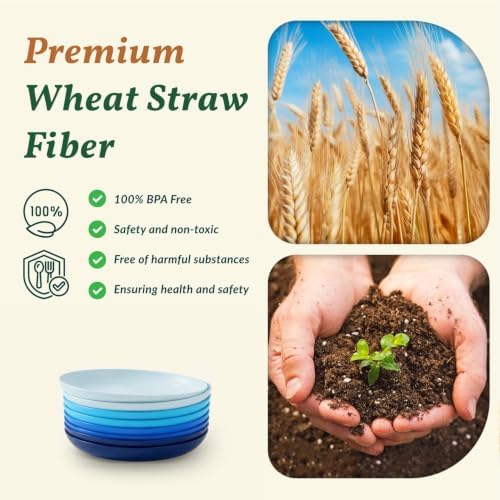 Homienly Dessert Plates Set of 8-8 inch Plate Set Wheat Straw Plates for Kitchen Unbreakable Plate for Dessert, Appetizer,Pancakes, Microwave & Dishwasher Safe Kitchen Essentials(Blue Series)