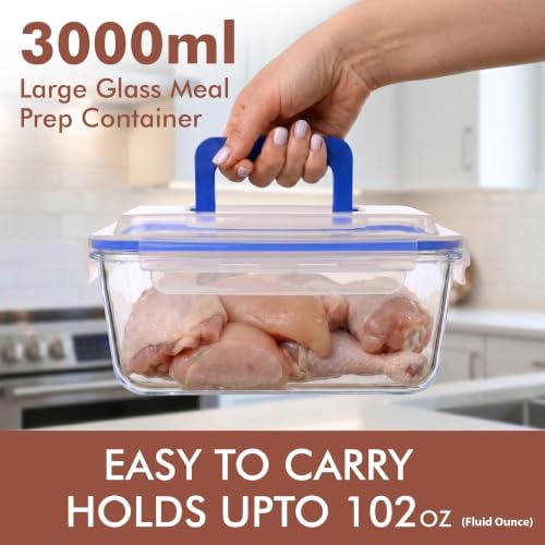 Razab 3000 ml / 102 oz Large Glass Storage Container with Easy Carry Handle