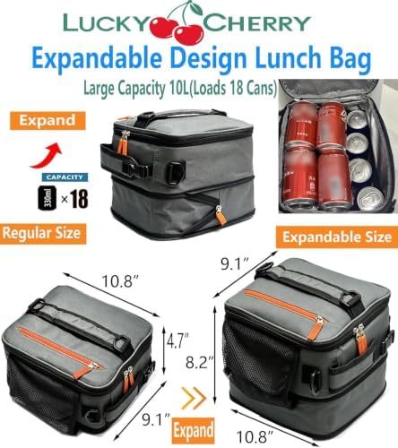 Expandable Lunch Box Insulated Lunch bag for Men Teen Kids Boys Adult Portable Stylish Double-Capacity Lunchbox Special Design for Working Office school Picnic (Gray Expandable 10L)